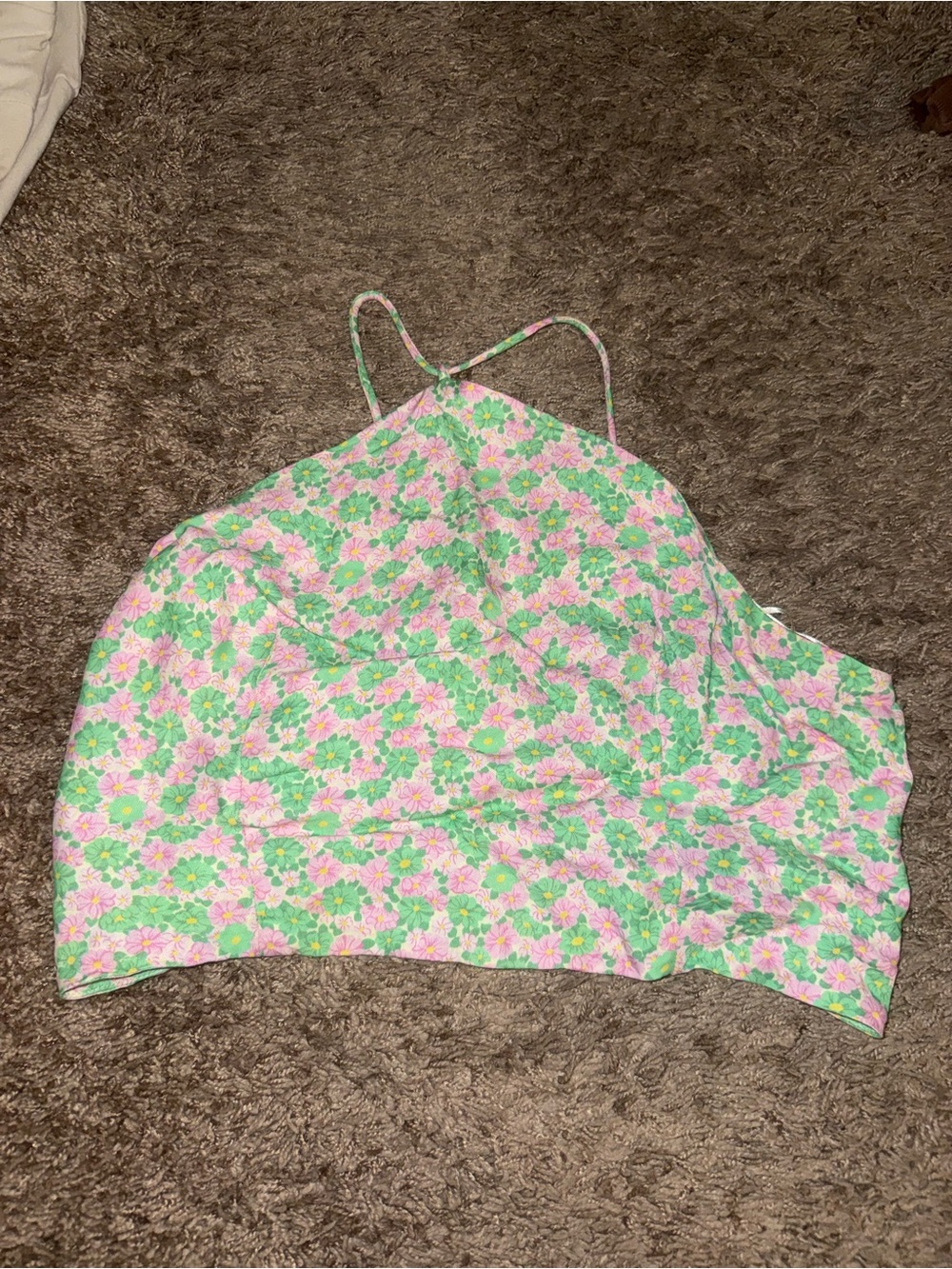 Zara Halter Crop Top